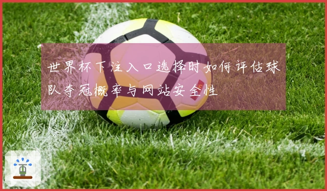 世界杯下注入口选择时如何评估球队夺冠概率与网站安全性
