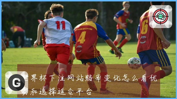 世界杯下注网站赔率变化怎么看优劣和选择适合平台