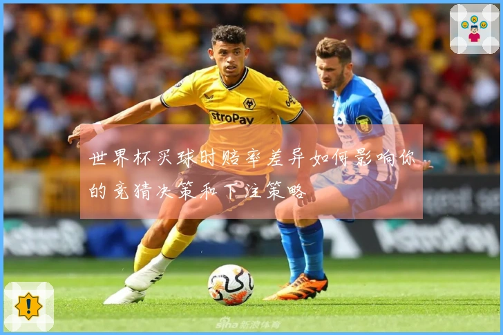 世界杯买球时赔率差异如何影响你的竞猜决策和下注策略