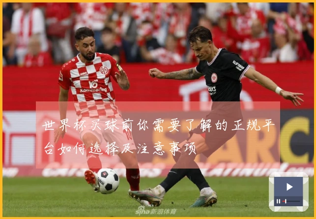 世界杯买球前你需要了解的正规平台如何选择及注意事项
