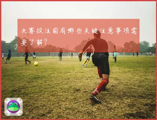 决赛投注前有哪些关键注意事项需要了解？