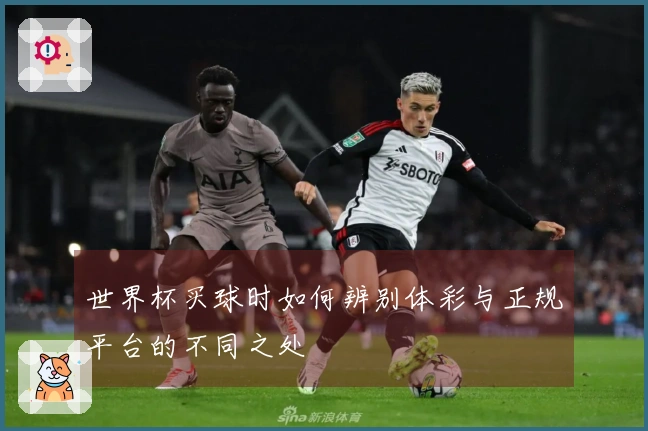 世界杯买球时如何辨别体彩与正规平台的不同之处