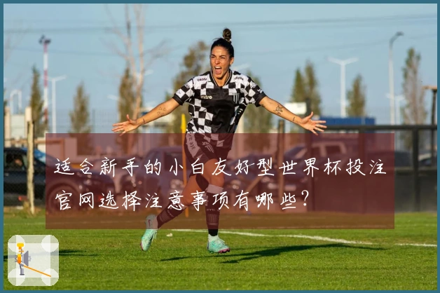 适合新手的小白友好型世界杯投注官网选择注意事项有哪些？