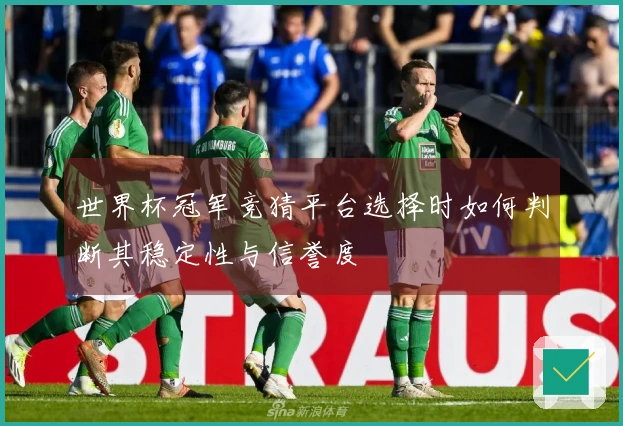 世界杯冠军竞猜平台选择时如何判断其稳定性与信誉度