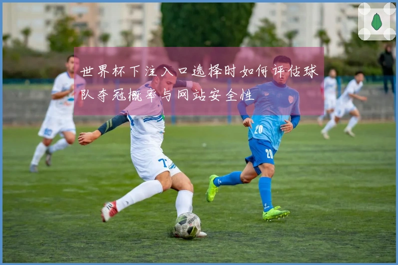 世界杯下注入口选择时如何评估球队夺冠概率与网站安全性