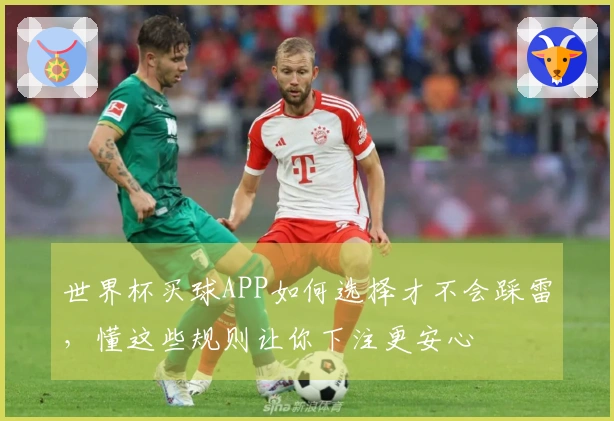 世界杯买球APP如何选择才不会踩雷，懂这些规则让你下注更安心