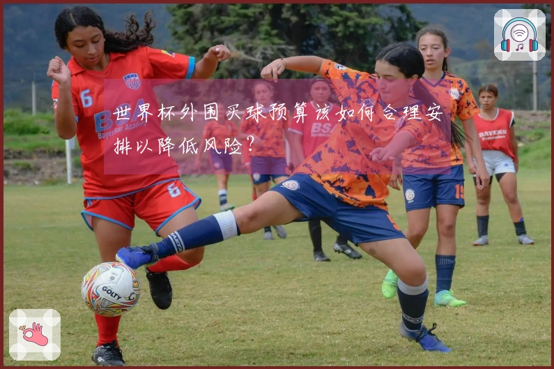 世界杯外围买球预算该如何合理安排以降低风险？