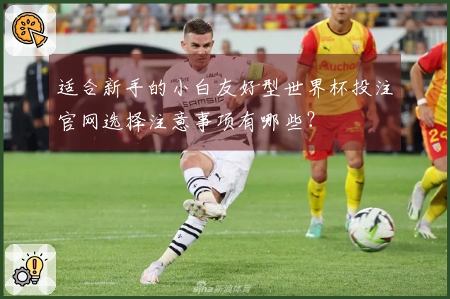 适合新手的小白友好型世界杯投注官网选择注意事项有哪些？