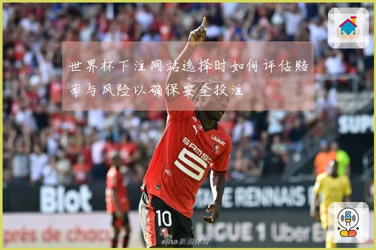 世界杯下注网站选择时如何评估赔率与风险以确保安全投注