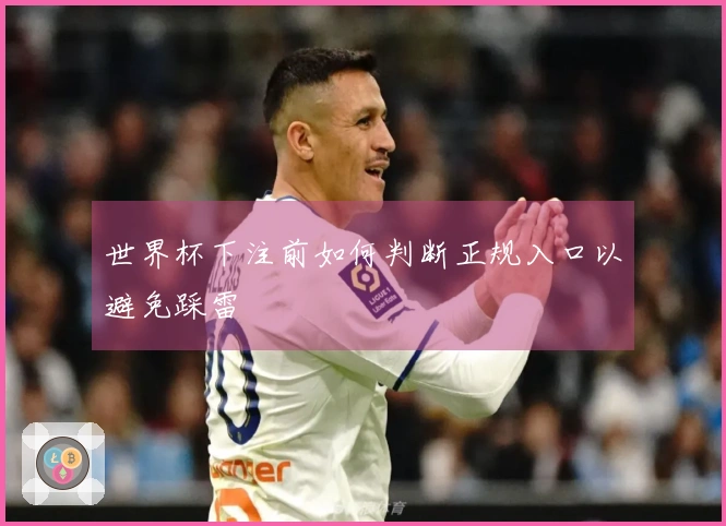 世界杯下注前如何判断正规入口以避免踩雷