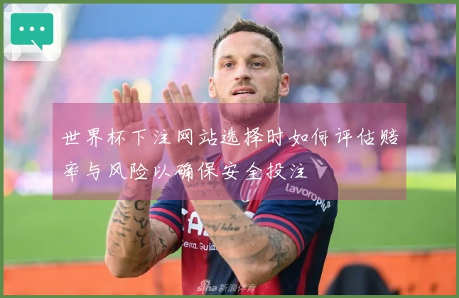 世界杯下注网站选择时如何评估赔率与风险以确保安全投注