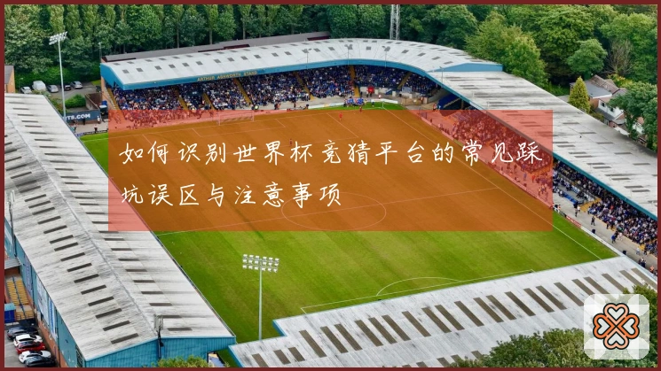 如何识别世界杯竞猜平台的常见踩坑误区与注意事项