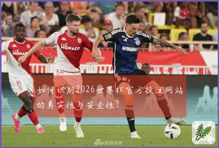 如何识别2026世界杯官方投注网站的真实性与安全性？