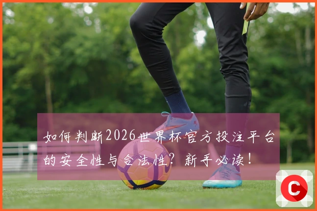 如何判断2026世界杯官方投注平台的安全性与合法性？新手必读！