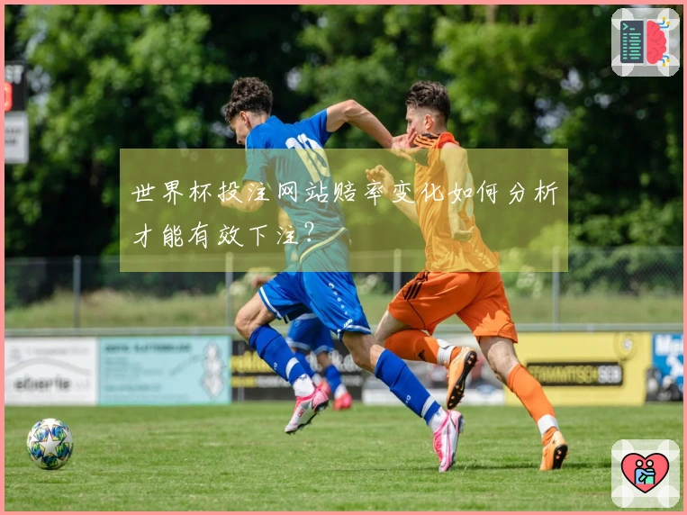 世界杯投注网站赔率变化如何分析才能有效下注？