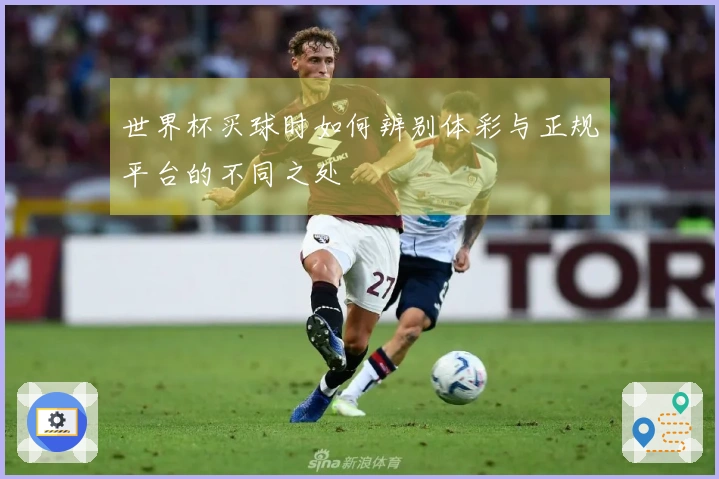 世界杯买球时如何辨别体彩与正规平台的不同之处