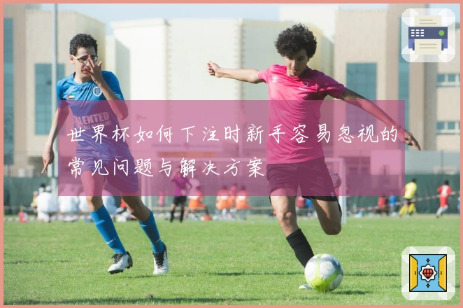 世界杯如何下注时新手容易忽视的常见问题与解决方案