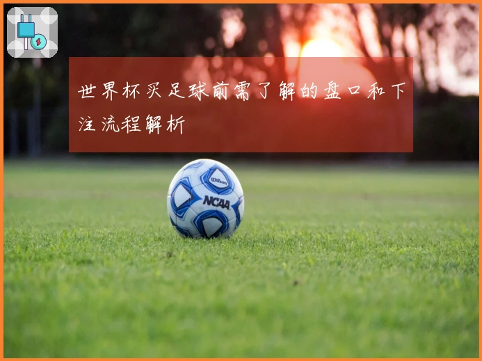 世界杯买足球前需了解的盘口和下注流程解析