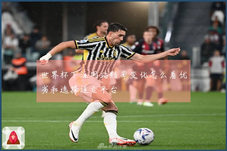 世界杯下注网站赔率变化怎么看优劣和选择适合平台